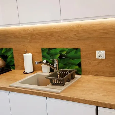 Apartament Gabriela شقة *