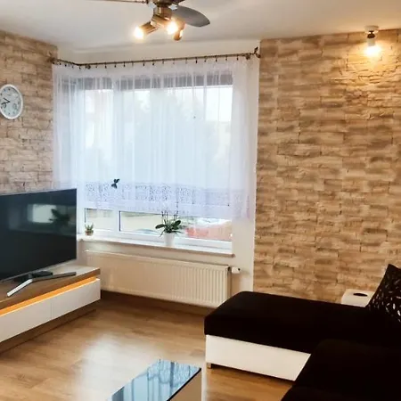 Apartament Gabriela شقة