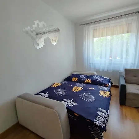 Apartament Gabriela شقة