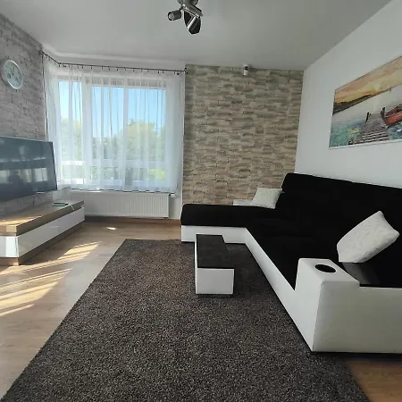 Apartament Gabriela شقة